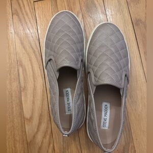 Steve Madden Women's Ecentrcq Sneaker in Grey/Taupe